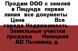 Продам ООО с землей в Пицунде, первая линия, все документы › Цена ­ 9 000 000 - Все города Недвижимость » Земельные участки продажа   . Ненецкий АО,Пылемец д.